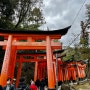 일본 교토 여우 신사, 끝없는 도리이로 이어진 길 ‘후시미 이나리 신사’