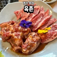 [경기 화성] 육촌 : 봉담 2지구 소생갈비살, 양념갈비살 맛집 추천