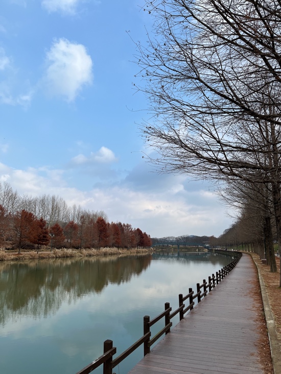 광주 근교 산책하기 좋은 곳_장성호 수변길 출렁다리, 담양...