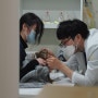 [성남동물병원] 스타동물의료센터 고양이 건강검진 후기