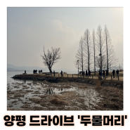 서울 근교 혼자 드라이브 갈만한 곳 양평 두물머리 겨울풍경
