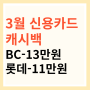3월 신용카드 캐시백 (BC-13만원, 롯데-11만원)