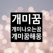 개미꿈 개미나오는꿈 개미꿈해몽