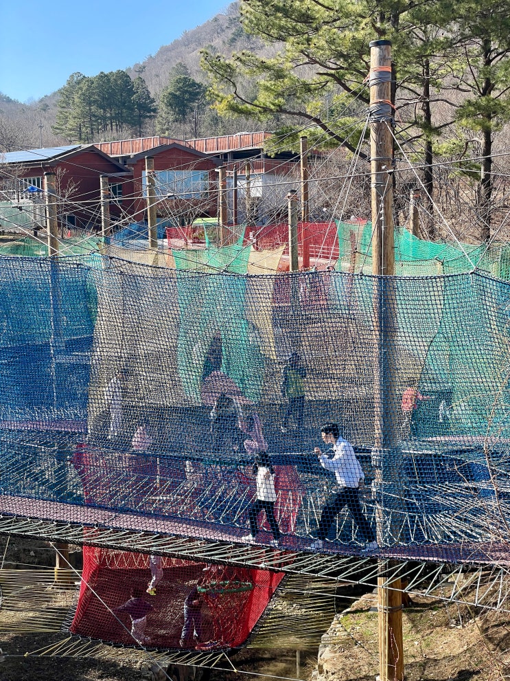 (8Y) 숲속 네트 놀이터 / 진주 월아산 산림레포츠단지, 숲속의...