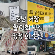 [경남 거창] 활어회 맛집 청정회수산