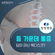 등 가운데 통증 단순 담이 아닌 목디스크일 수 있어요.