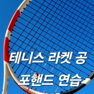 테니스 라켓 공 포핸드 스윙 연습 (전문조언36,)