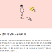김영하 작가의 영하의 날씨 구독완료!