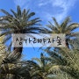 상가리야자숲 제주의 숨겨진 보물 명소 애월 사진 찍기 좋은 관광지