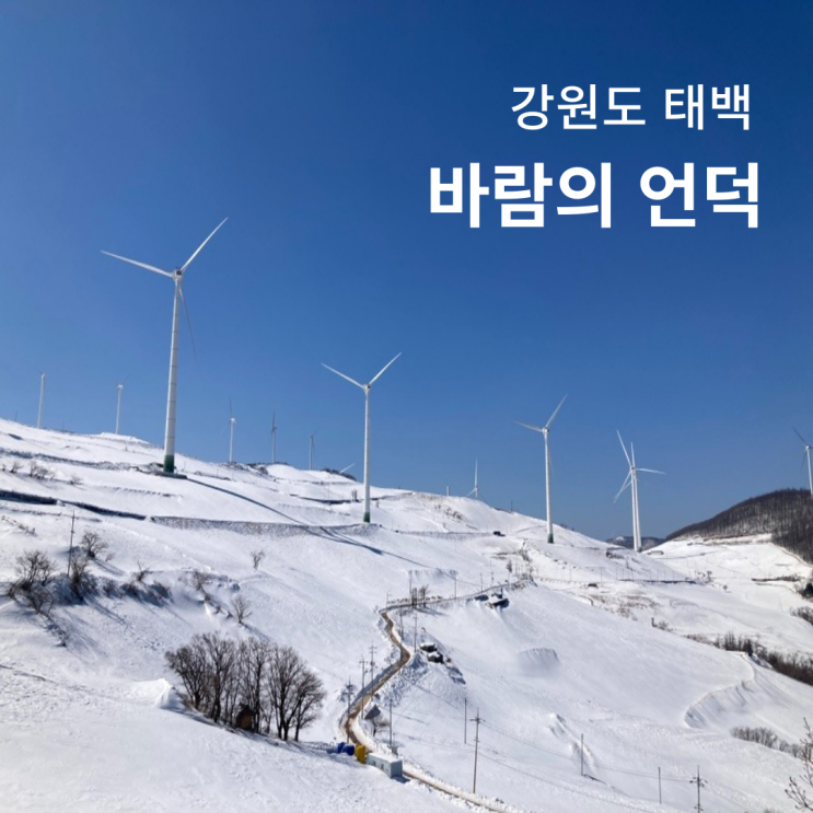 강원도 태백 가볼만한곳 바람의언덕 겨울 설경 : 네이버 블로그