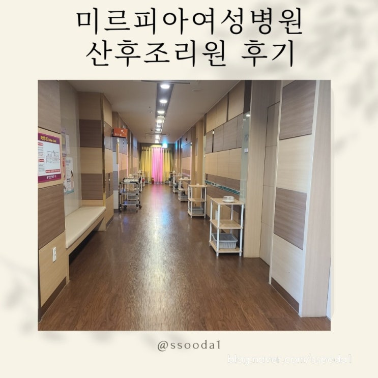 신생아실복도,미르피아,복도
