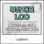 국내 저가항공사 최초 공동운항 LCC, 에어부산 수화물 좌석 취항 노선 및 할인 정보