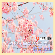 2024 봄꽃 개화예상시기 및 3월 4월 전국 지역별 봄꽃 벚꽃 축제 15곳 소개