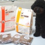 노령견 강아지 위한 반습식 소프트 사료 비타파우 및 애견유산균 추천