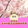 2024년 부산 대저 강서 낙동강30리 벚꽃축제