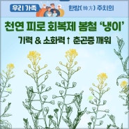 천연 피로 회복제 봄철 '냉이'기력 & 소화력↑ 춘곤증 깨워