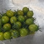 세상의 식재료-그린 토마토 다양한 그린토마토green tomato 요리
