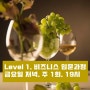 "비즈니스 와인 입문과정" 금요일 저녁. 주 1회. 19시 - 직장인을 위한 야간 와인 강의 오픈!