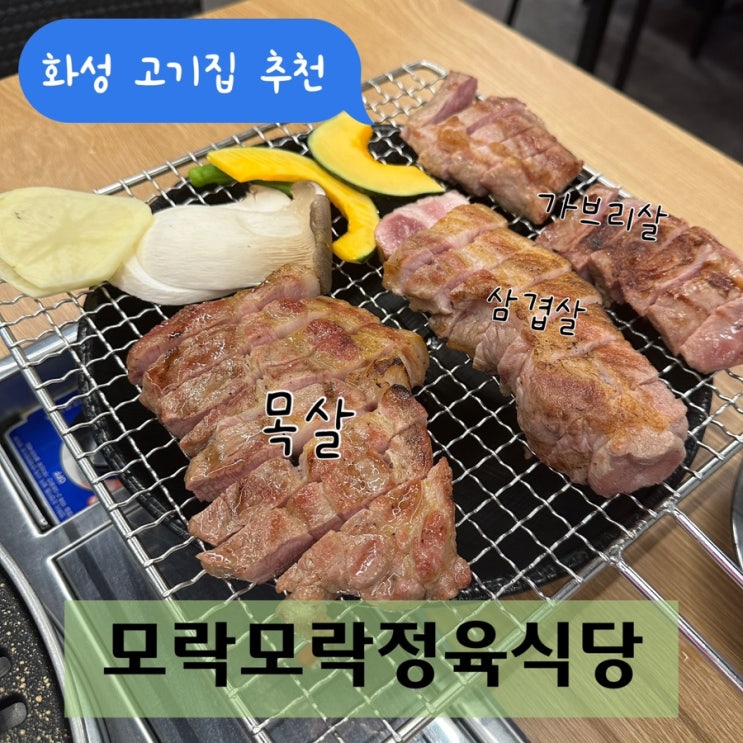 화성 고기 맛집 모락모락정육식당 남양 화성시청 본점