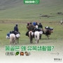 💚[평숲정보통] 몽골사람들은 왜 유목생활을 할까요?🇲🇳