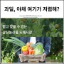 인천 삼산농산물 도매센터 과일값 저렴한 것인가?