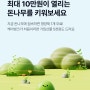 케이뱅크 돈나무 키우기 함께해요! 신규가입 5천원 최대 10만원 현금보상 이벤트