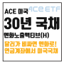 환전 없이 절세계좌에서 엔화로 미국 장기채 투자하기, ACE 미국30년국채엔화노출액티브(H)