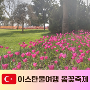 터키 튀르키예 자유여행 3월, 4월 5월 이스탄불 봄꽃축제 가볼만한곳