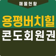 용평 버치힐콘도 용평리조트회원권거래소 매매 시세(37평/45평/60평)