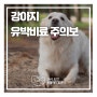 강아지 봄철 산책 시 유박비료 주의보