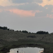 jeju 먹꼬먹고 / 송악산 둘레길, 사계해안, 오설록 티 뮤지엄, 금오름, 돈사돈