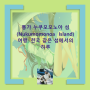 통가 누쿠모모노아 섬(Nukumomonoa Island) 여행: 천국 같은 섬에서의 하루