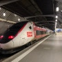 독일, 스위스, 프랑스 유럽 여행기 - 33 ) TGV 고속열차 떼베제로 스위스 취리히중앙역 (Zurich HB)에서 파리 리옹역(Paris Gare De lyon)으로 국경 이동
