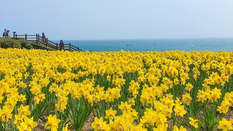 갈맷길2-2구간 부산여행(이기대 수변공원~오륙도 해맞이공원)