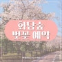 화담숲 예약 오픈! 화담숲 벚꽃 4월 주말 예매 방법, 모노레일 화담채