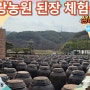 "콩이랑농원의 전통발효식품, 된장과 간장담기 체험으로 한국의 맛을 느껴보세요!"