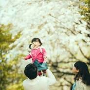 만삭 기념으로 벚꽃 피는 시기에 촬영한 한강 선유도 공원 가족사진