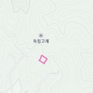 경기도 양평군 용문면 조현리 임야매매_1억1,500만원