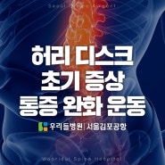 허리디스크 초기 증상과 통증 완화 운동법｜우리들병원 서울김포공항