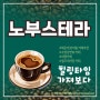 <부산 해운대 반여동> 대형카페추천☕️수영강변뷰+셀프세차장 ‘노부스테라’ 힐링하다!