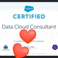 세일즈포스 자격인증 1탄 [Data Cloud Consultant] 시험합격후기