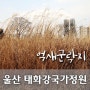 울산 가볼만한 곳, 태화강 국가정원 '억새군락지'