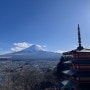 3월의 가와구치코 후지산 여행기