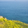 남해 다랭이마을 유채꽃 벚꽃 개화시기 포토존 명소