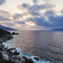 일본 규슈 자유 여행 야쿠시마 섬 가볼만한곳, 맛집, 숙소, 위치 4박5일 정리