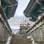 충북 생거진천 김유신탄생지/ 보탑사/ 만뢰산생태공원 아이들과가볼만한 현지인코스