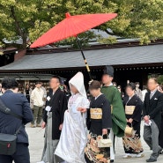 [도쿄 여행 day 3-1] 시부야에서 걸어서 하라주쿠까지 / 산책하다 메이지 신궁 결혼식 관람 / 줄서서 이치란 라멘 먹기