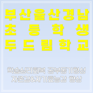 부산(울산,경남) 초등 두드림학교_학습심리회복 공부동기형성 자기효능감향상 프로그램 진행