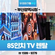 부산 시청 삼성 85인치 TV 2대 단기 렌탈