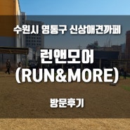 수원 영통 애견카페 런앤모어(RUN&MORE) 방문후기